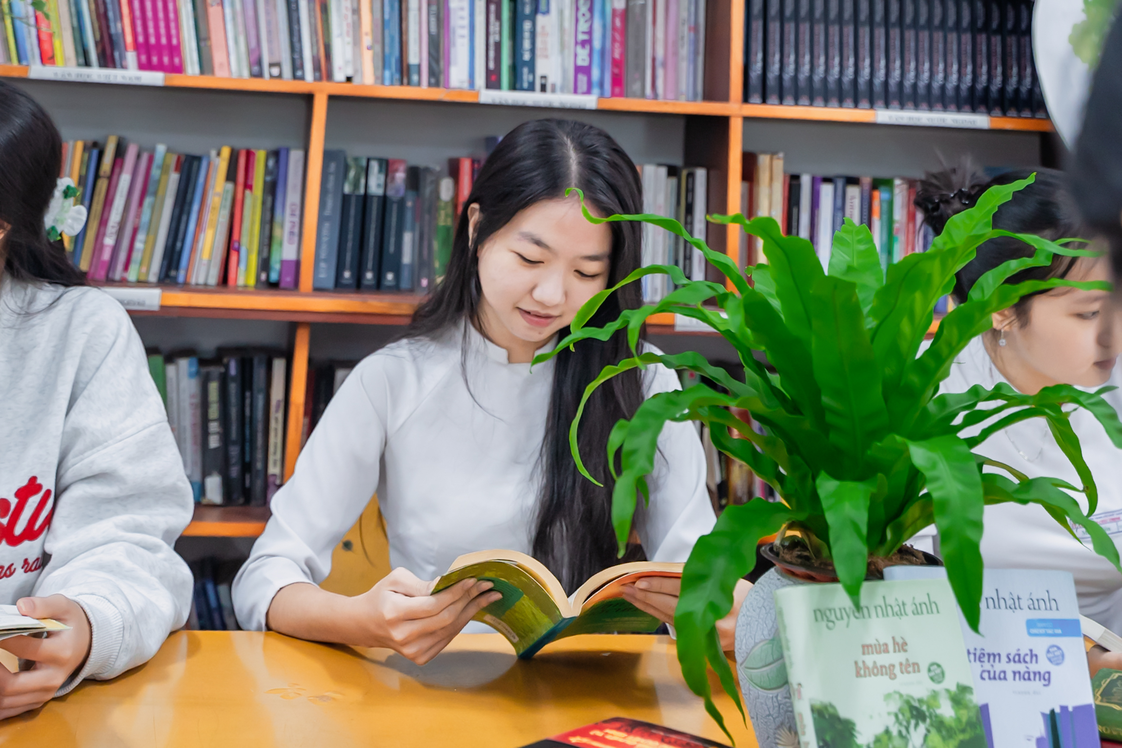 Ảnh minh họa dự án